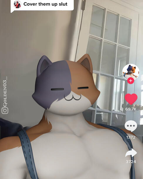 Meowscles Meme Cover Them Up